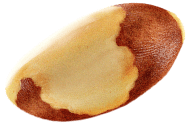 Imagem de castanha