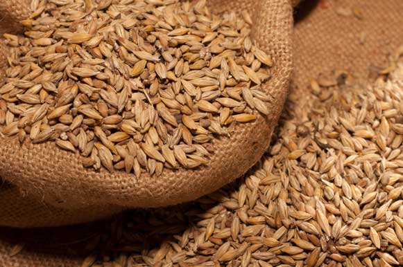 As vantagens do consumo da farinha de malte