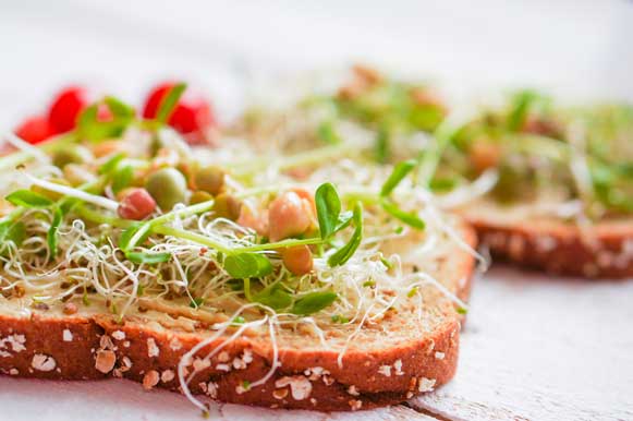 Os passos para um sanduíche vegetariano perfeito