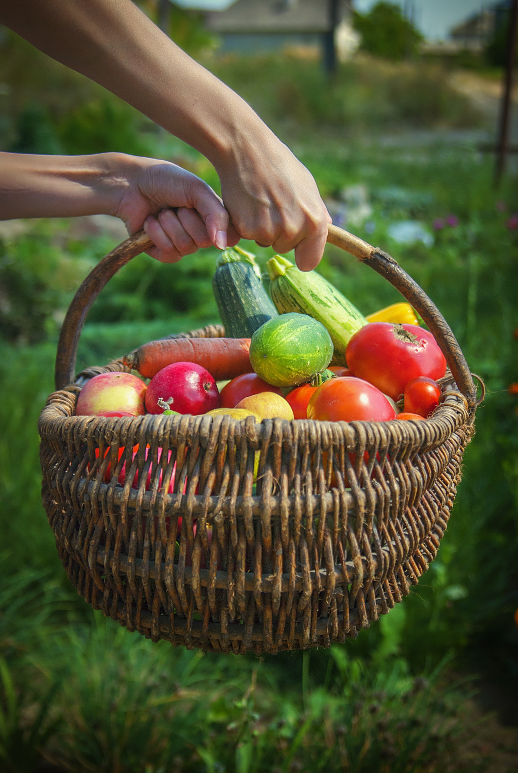 #Food4All: o movimento que quer revolucionar a alimentação
