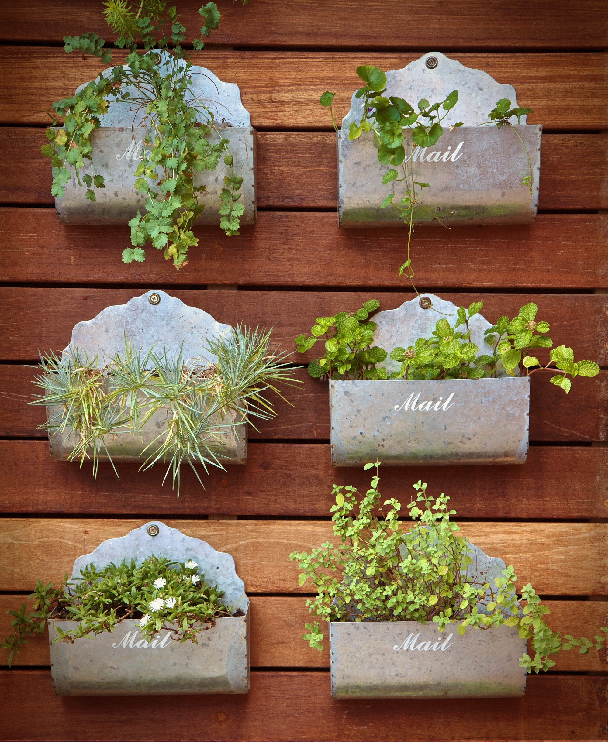 Horta Vertical: como fazer a sua!