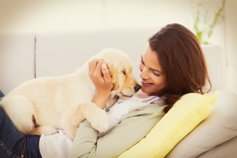 Como preparar a casa para receber um pet