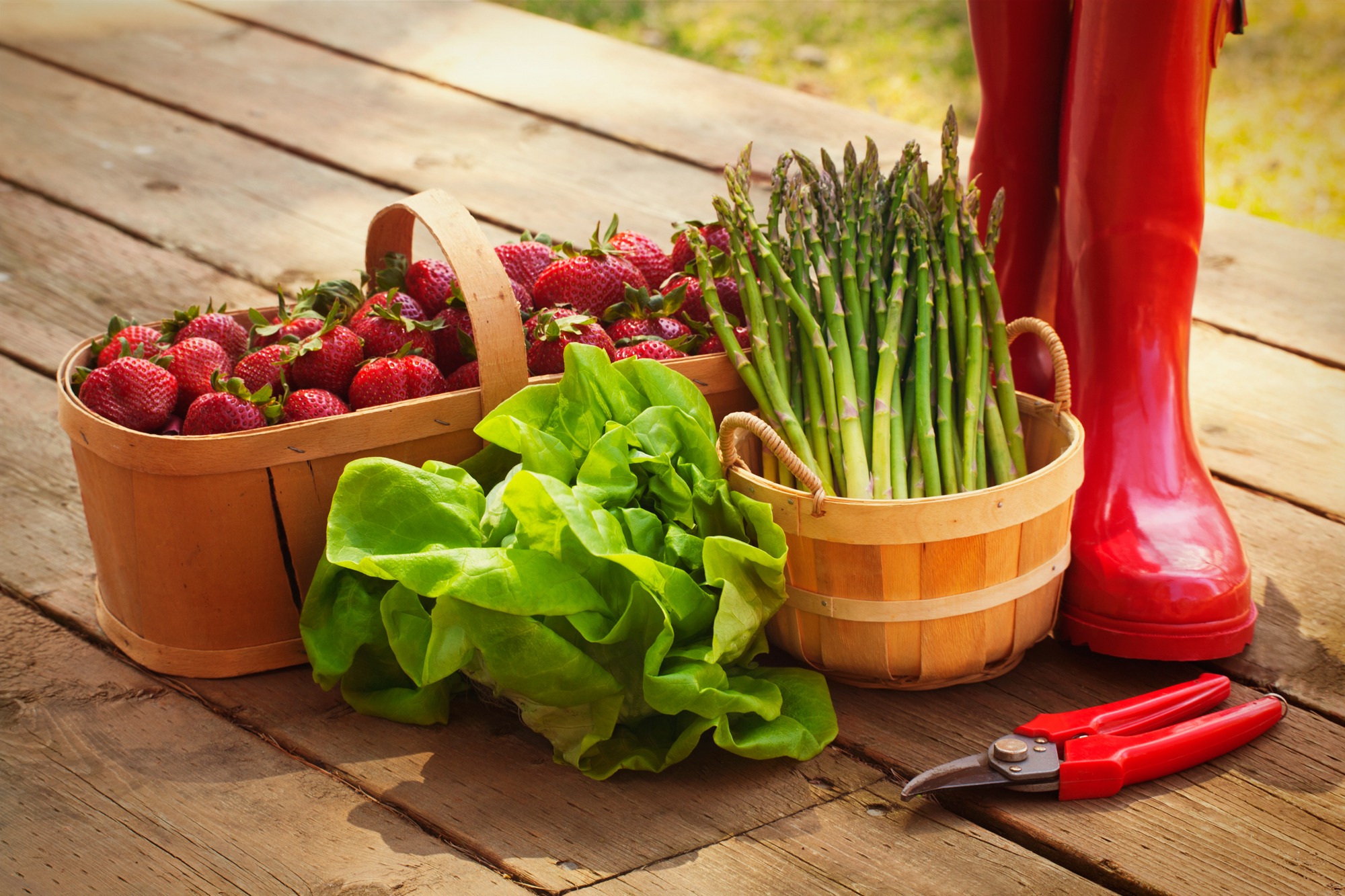 Dicas para frutas, legumes e verduras