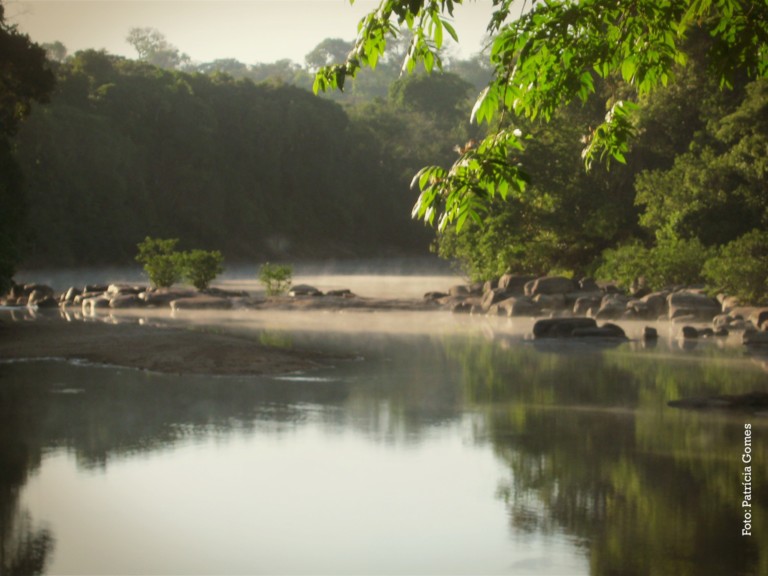 O Xingu e o meio ambiente