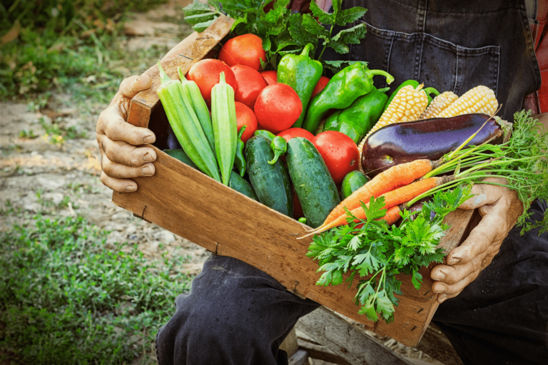 Alimentos orgânicos perto de casa