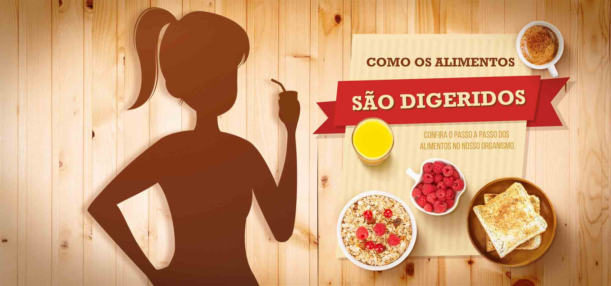 Como os alimentos são digeridos