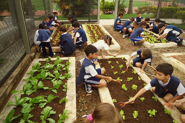 O papel da escola na alimentação