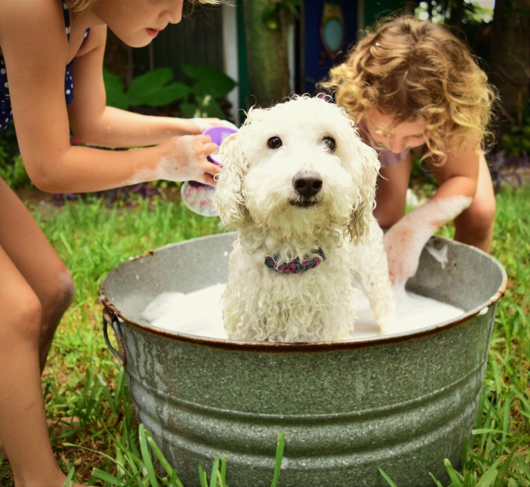 Porque ter cães em casa é bom para as crianças