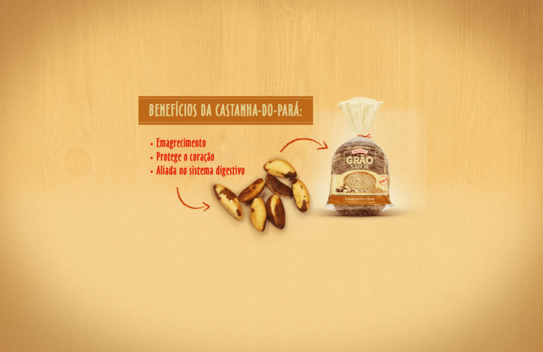 As propriedades e benefícios da Castanha-do-pará