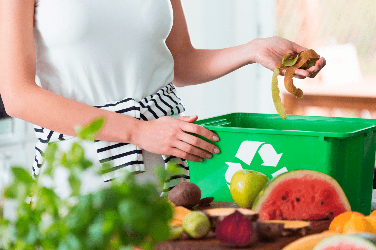 Combata a poluição com hábitos mais conscientes e sustentáveis