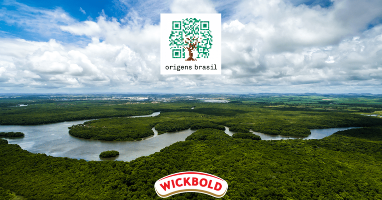 05/09 – Dia da Amazônia